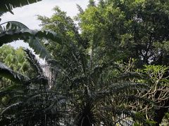 -南宁南湖公园