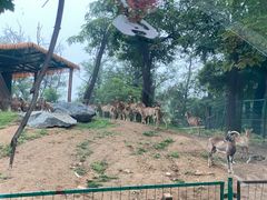 -秦皇岛野生动物园