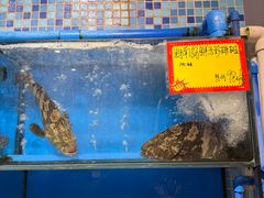 -蚝专家(北滘店)