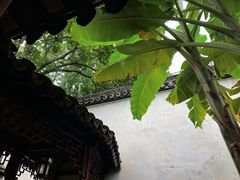 -拙政园