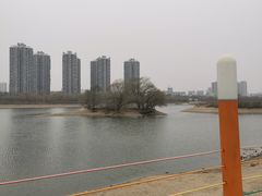 -长白岛森林公园