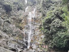 -满記土窑烧鷄波浪山莊
