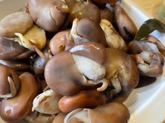 五香蚕豆-左邻右舍褡裢火烧(石榴园店)