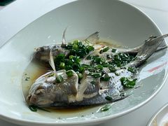 -魚當家