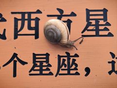 -北京天文馆