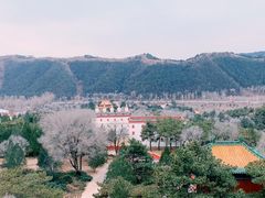 -普陀宗乘之庙