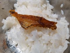 -逍遥宫
