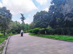 -成都南湖公园