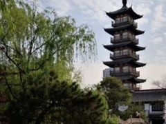 -嘉定紫藤园