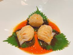 -迦南苑·新派青岛菜·生日纪念日主题餐厅