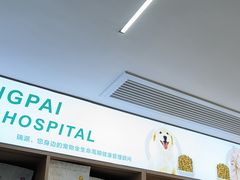 -瑞派伍一宠物医院·眼科·骨科·猫科转诊中心(马王堆院)