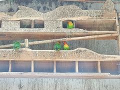 -昆明动物园