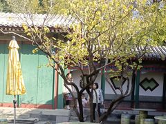 -宫事颐庭·老佛爷贵寿下午茶(颐和园店)