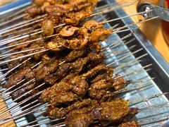 -清真·马峰烤肉(小学习北巷店)