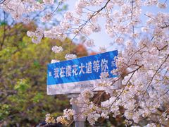 -上海辰山植物园