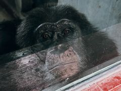 -秦皇岛野生动物园