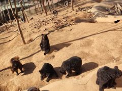 -泉州海丝野生动物世界