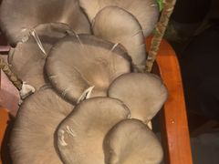 -老员外骨汤火锅(海州古城店)