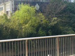 -第六空间国际家居(旺墩路店)