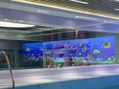 -水贝乐国际水育儿童游泳中心(新业广场店)