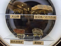-上海儿童博物馆