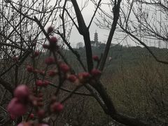 -苏州上方山国家森林公园