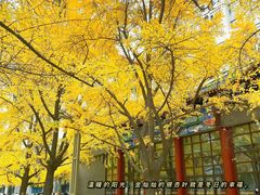 -四川大学(华西校区)