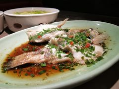 葱油鲈鱼-新白鹿餐厅(嘉兴八佰伴华府店)