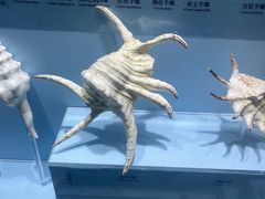 -温州博物馆