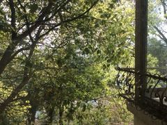 iphone_upload_pic-上海市保健医疗中心(华东疗养院)
