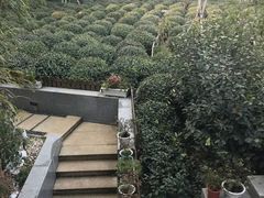 -西湖茶墅