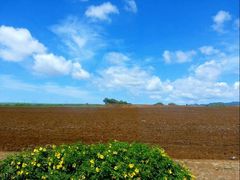 -西沃古尔·拉姆古兰爵士国际机场