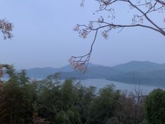 -天目湖涵田半山温泉