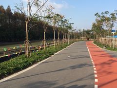 -上海长兴岛郊野公园