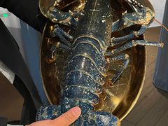-Oyster Talks 四度蚝法餐厅