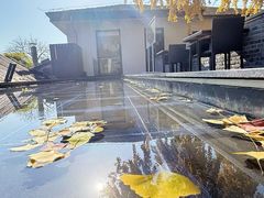 -自如ZSPACE四合院艺术餐厅