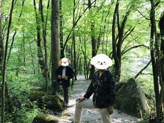 -黎坪国家森林公园