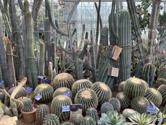 -国家植物园南园