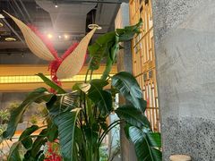 -莺花渡火锅City Green(万象城店)