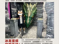 -屋有岛沉浸游戏旗舰店(中山公园店)