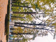 -两江幸福广场