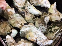特大蒸生蚝-蚝专家(北滘店)