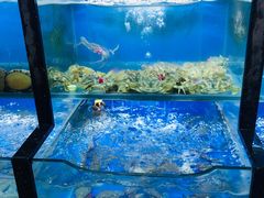 水产区-老东镇啤酒屋海鲜加工·蒸汽海鲜·海鲜烧烤(台东店)