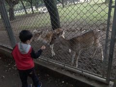 -西安秦岭野生动物园