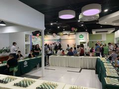 -常青藤国际象棋(新奥店)