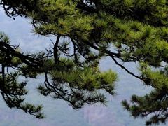 -妙峰山风景名胜区