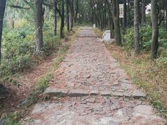 -雨花胜境