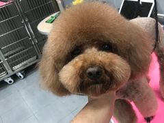 -宠福鑫康馨动物医院·骨科·眼科