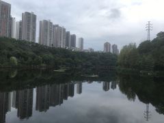 -重庆彩云湖湿地公园