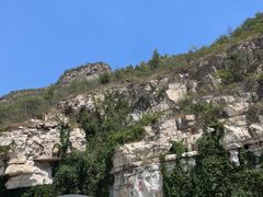 -仙蘑洞